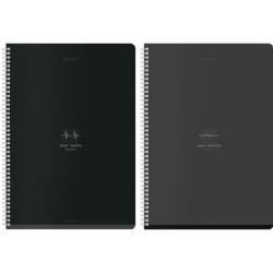 Тетради ДЭК А4 96 л. КОМПЛЕКТ 2 шт. BRAUBERG гребень, клетка, матовая ламинация, "Ритм", 404871