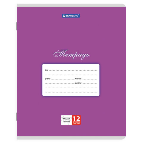 Тетради ДЭК 12 л. КОМПЛЕКТ 20 шт. BRAUBERG КЛАССИКА, косая линия, обложка картон, АССОРТИ, 107072