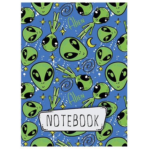 Блокнот МАЛЫЙ ФОРМАТ А7 75x105 мм, 40 л., гребень, фольга, TWIN лак, клетка, "МИКС 3" (6 видов), 099128