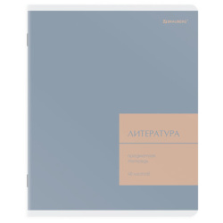 Тетрадь предметная MonoPastel 48л, пластиковая обложка, ЛИТЕРАТУРА, линия, подсказ, BRAUBERG, 405509