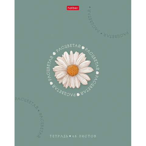 Тетрадь А5, 48 л., HATBER, скоба, клетка, soft-touch ламинация, тиснение, "Нежное очарование" (микс), 095022, 48Т5лтВ1