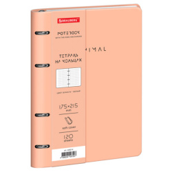 Тетрадь на кольцах А5, 175х215 мм, 120 л., под кожу, BRAUBERG VISTA, "Minimal", бежевый, 405214