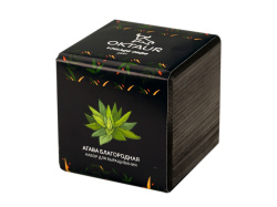 Набор для выращивания «Small village cube «Агава Благородная», Цвет черный