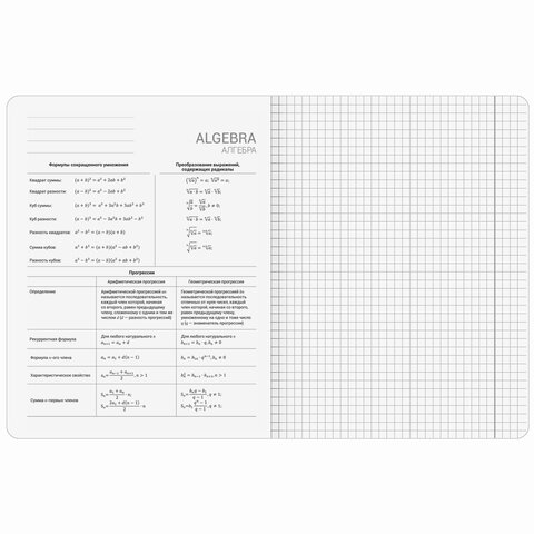 Тетради предметные, КОМПЛЕКТ 5 ПРЕДМЕТОВ, 48 л., SoftTouch, BRAUBERG "VINTAGE", 405188