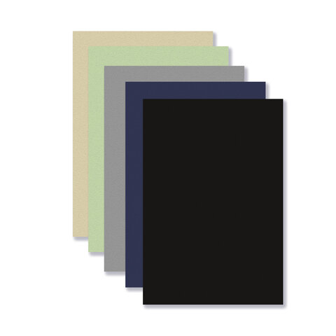 Бумага для пастели АБРАЗИВНАЯ А4 в папке, 20 листов, 5 цветов, 240 г/м2, BRAUBERG ART, 117763