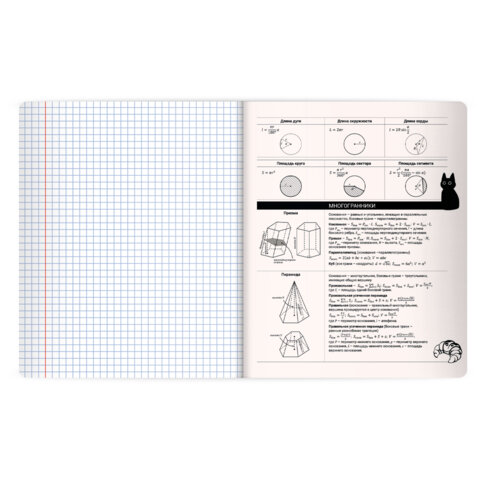 Тетрадь предметная КОТ-НЕПОСЕДА 48л, пластиковая обложка, ГЕОМЕТРИЯ, клетка, подсказ, BRAUBERG, 405532