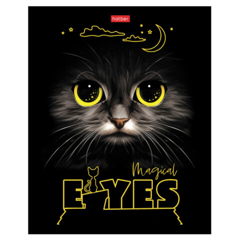 Тетрадь А5 48 л., HATBER скоба, клетка, матовая ламинация, 3D-лак, "Волшебные глаза" (микс), 088313, 48Т5лолВ1