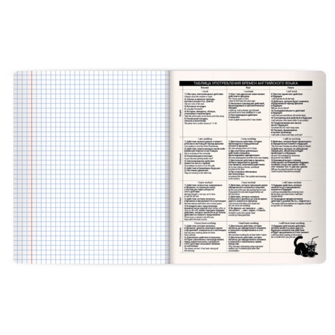 Тетрадь предметная КОТ-НЕПОСЕДА 48л, пластиковая обложка, АНГЛИЙСКИЙ ЯЗЫК, клетка, подсказ, BRAUBERG, 405529