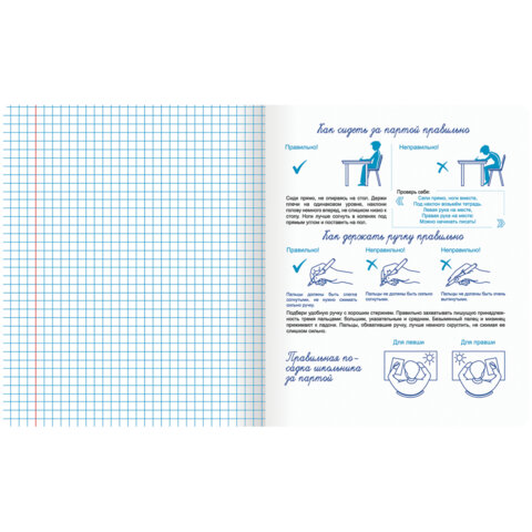 Тетради ДЭК 12 л. КОМПЛЕКТ 10 шт. ПРОПИСЬ № 6 клетка, со справочным материалом, ЮНЛАНДИЯ, 404855