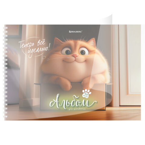 Альбом для рисования, пластиковая обложка, А4, 40 л., гребень, BRAUBERG, 210х297 мм, АССОРТИ-1 (8 видов), 107682