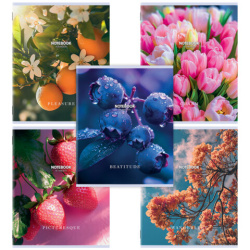 Тетрадь А5, 48 л., STAFF, скоба, клетка, офсет №2 ЭКОНОМ, обложка картон, ФЛОРА, 405626