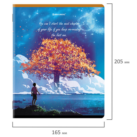 Тетради КОМПЛЕКТ 5 шт., А5, 96 л., BRAUBERG скоба, клетка, глянцевый лак, "Dream World", 404402