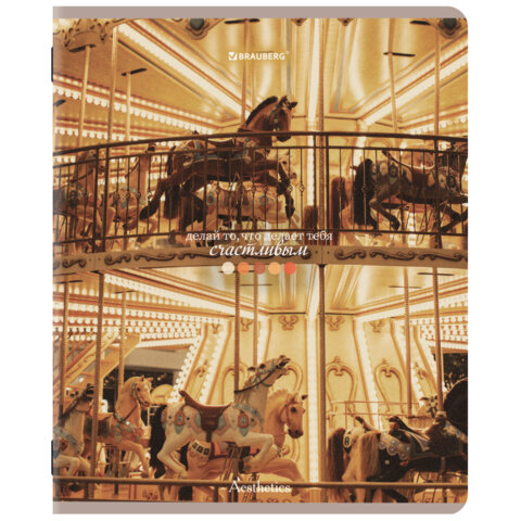 Тетради ДЭК А5 48 л. КОМПЛЕКТ 5 шт. BRAUBERG скоба, клетка, матовая ламинация, GRACE, 404935