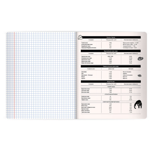 Тетрадь предметная КОТ-НЕПОСЕДА 48л, пластиковая обложка, ГЕОГРАФИЯ, клетка, подсказ, BRAUBERG, 405531
