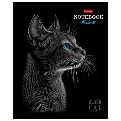 Тетрадь А5 48л. HATBER скоба, клетка, матовая ламинация, 3D лак, Black Cat (микс в сп, 48Т5лолВ1