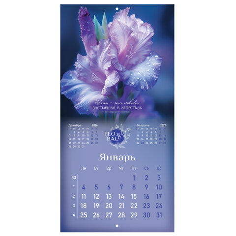 Календарь настенный перекидной 2027 г., BRAUBERG, 12 листов, 28,5х28,5 см, "Floral", 118425