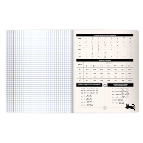 Тетрадь предметная КОТ-НЕПОСЕДА 48л, пластиковая обложка, АЛГЕБРА, клетка, подсказ, BRAUBERG, 405527