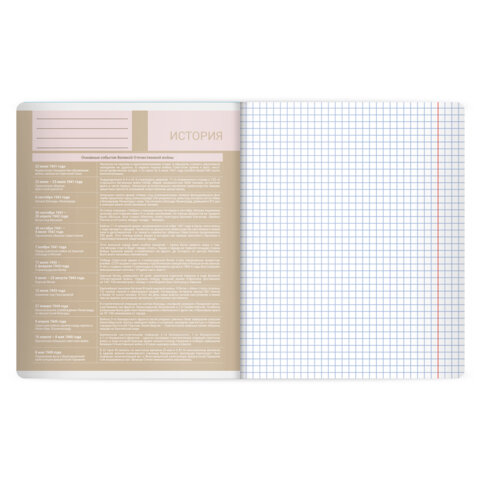 Тетрадь предметная MonoPastel 48л, пластиковая обложка, ИСТОРИЯ, клетка, подсказ, BRAUBERG, 405508