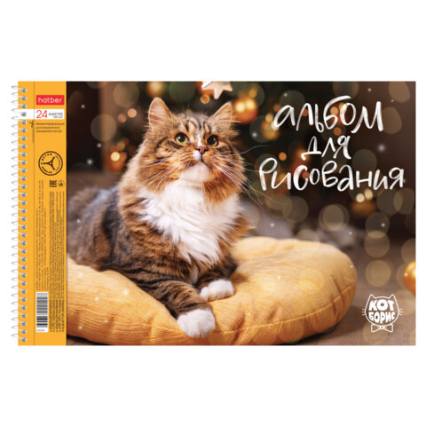 Альбом для рисования А4 24 л., спираль, обложка картон, HATBER, 198х300 мм, "Кот Борис" (5 видов), 079771, 24А4Всп