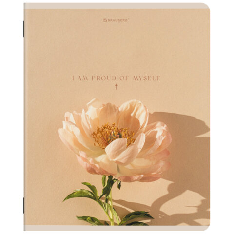 Тетради ДЭК А5 48 л. КОМПЛЕКТ 5 шт. BRAUBERG, скоба, клетка, SoftTouch, "ЭСТЕТИКА", 404949