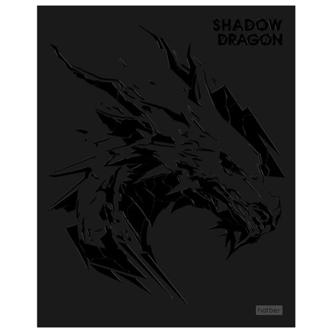 Тетрадь А5 48л. HATBER скоба, клетка, матовая ламинация, 3D лак, Shadow (микс в спайк, 48Т5лолВ1