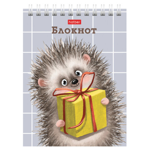 Блокнот МАЛЫЙ ФОРМАТ А6, 40 л., гребень, картон, клетка, HATBER, "Хорошо быть ёжиком", 080472, 40Б6В1гр
