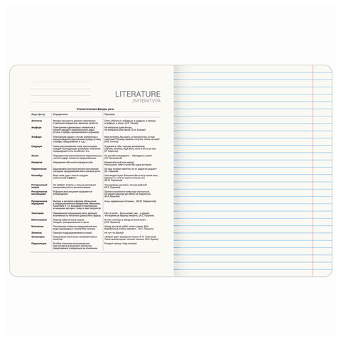 Тетрадь предметная ANIME 48 л., глянцевый УФ-лак, ЛИТЕРАТУРА, линия, BRAUBERG, 404540