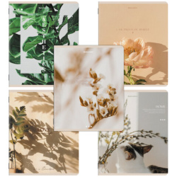 Тетради ДЭК А5 48 л. КОМПЛЕКТ 5 шт. BRAUBERG, скоба, клетка, SoftTouch, "ЭСТЕТИКА", 404949