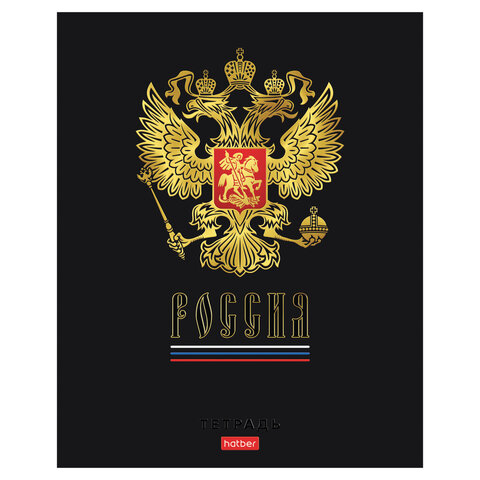 Тетрадь А5 48 л., HATBER, скоба, клетка, матовая ламинация, 3D-фольга, 3D-лак, Россия (микс), 093210, 48Т5лофлВ1