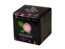 Набор для выращивания «Small village cube «Мимоза стыдливая», Цвет черный