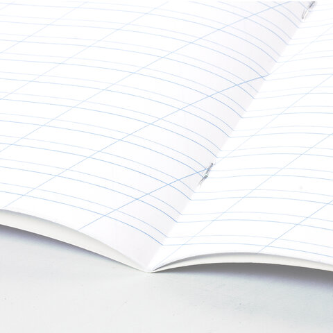 Тетради ДЭК 12 л. КОМПЛЕКТ 20 шт. BRAUBERG "КЛАССИКА NEW", косая линия, обложка картон, ЗЕЛЕНАЯ, 880050