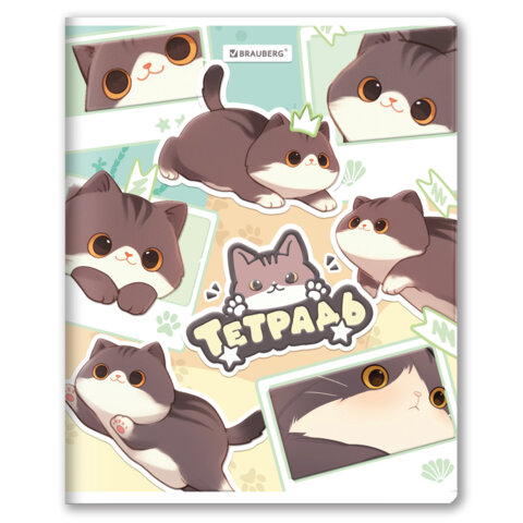 Тетрадь А5 48 л. BRAUBERG скоба, клетка, выборочный лак, кросс-серия МИЛЫЕ КОТЫ, 405193