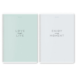 Тетради ДЭК А4 96 л. КОМПЛЕКТ 2 шт. BRAUBERG гребень, клетка, матовая ламинация, "Пастель_2", 404884