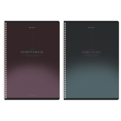 Тетради ДЭК А4 96 л. КОМПЛЕКТ 2 шт. BRAUBERG гребень, клетка, SoftTouch, "Peaceful", 404875