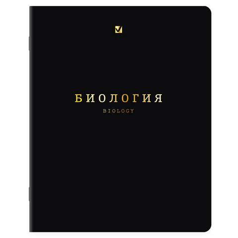 Тетради предметные, КОМПЛЕКТ 12 ПРЕДМЕТОВ, 48 л., Soft-Touch, 3D-фольга, BRAUBERG, "BLACK GOLD", 405602