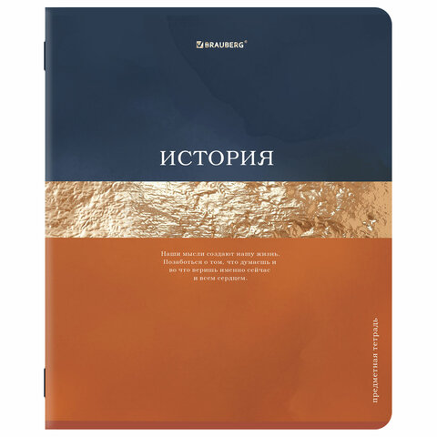 Тетради предметные, КОМПЛЕКТ 12 ПРЕДМЕТОВ, 48 л., матовая ламинация, фольга, BRAUBERG "GOLDY", 405178