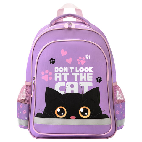 Рюкзак ПИФАГОР SCHOOL, 1 отделение, 3 кармана, "Observer cat", 38x28х14 см, 274437