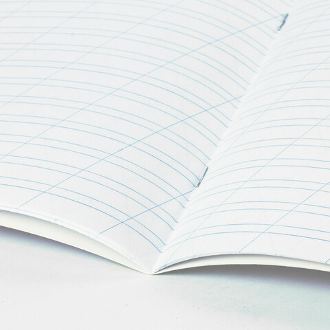 Тетради ДЭК 12 л., КОМПЛЕКТ 10 шт., BRAUBERG, косая линия, обложка картон, "PHRASES", 107328