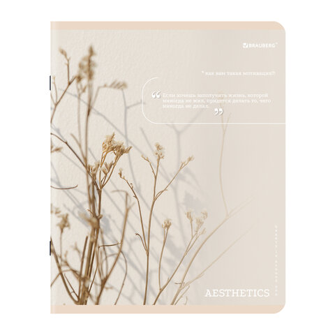 Тетради ДЭК А5 48 л. КОМПЛЕКТ 5 шт. BRAUBERG скоба, клетка, SoftTouch, "Пастельная", 404948