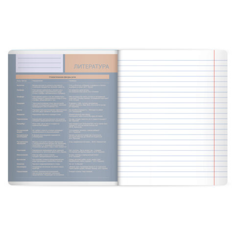 Тетрадь предметная MonoPastel 48л, пластиковая обложка, ЛИТЕРАТУРА, линия, подсказ, BRAUBERG, 405509