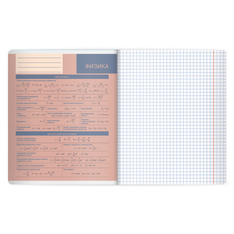 Тетрадь предметная MonoPastel 48л, пластиковая обложка, ФИЗИКА, клетка, подсказ, BRAUBERG, 405511