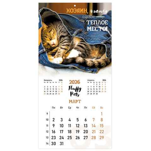 Календарь настенный перекидной 2026 г., BRAUBERG, 12 листов, 28,5х28,5 см, "Милые котики", 116929