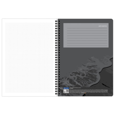 Тетради ДЭК А4 96 л. КОМПЛЕКТ 2 шт., BRAUBERG, гребень, клетка, 80 г/м2, SoftTouch, "Black Classic", 405584