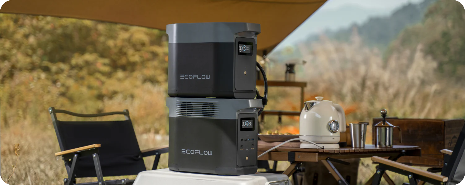 9.webp (1503×600)