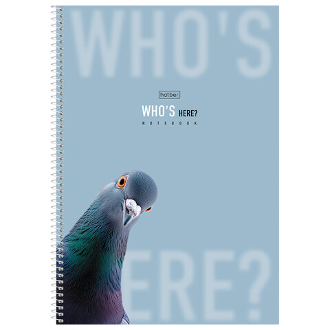 Тетрадь А4 96л. HATBER спираль, клетка, матовая ламинация, Кто здесь? (микс в спайке), 96Т4лВ1сп