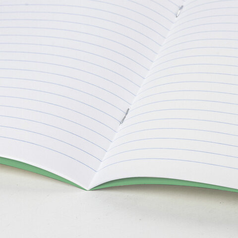 Тетради ДЭК 18 л. КОМПЛЕКТ 10 шт. с ЗЕЛЁНОЙ обложкой, ЮНЛАНДИЯ, линия, 106750