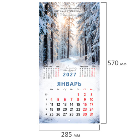 Календарь настенный перекидной 2027 г., BRAUBERG, 12 листов, 28,5х28,5 см, "Вселенная", 118412
