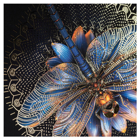 Тетрадь А5 96л. HATBER скоба, клетка, матовая ламинация, 3D фольга, Золотая романтика (микс), 089287, 96Т5лофВ1