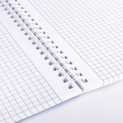 Тетради ДЭК А4 96 л. КОМПЛЕКТ 2 шт. BRAUBERG гребень, клетка, глянцевый лак, ЦВЕТЫ, 404881