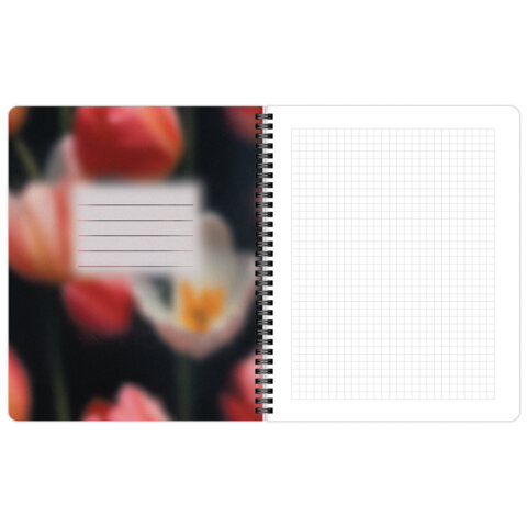 Тетради ДЭК А5 48 л. КОМПЛЕКТ 4 шт., BRAUBERG, гребень, клетка, 80 г/м2, SoftTouch, Aesthetics, 405580